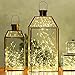 BMOUO 16.4Ft 5-Meter 50leds LED String Lights on Copper Wire LED Starry Décor Rope Lights AA Battery Powered Operated Lighting for Christmas Wedding Holiday and Party (Warm White)