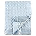 Hudson Baby Unisex Baby Plush Mink Blanket, Powder Blue, One Size