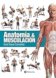 Anatomía & musculación: Guía visual completa (Deportes nº 27) (Spanish Edition) by Ricardo Cánovas Linares