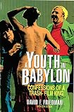 A Youth in Babylon: Confessions of a Trash-Film King by 