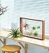Mkono Large Air Plant Frame Hanging Airplant Holder Tillandsia Display Hanger Wooden Shelf Wall Decor for House Plants, Succulent, 16-Inchthumb 3