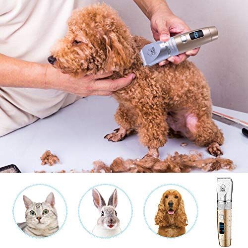 Hatteker Schermaschine Trimmer Hunde Haarschneidemaschine Katze