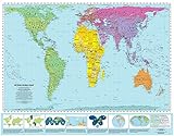 Peters Equal Area World Map 39.5