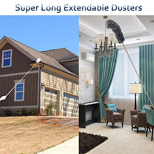 Webster Cobweb Duster,Showroom Microfiber Duster Extendable Ideal for Cleaning Blinds Ceiling Fans I - //coolthings.us