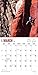 Rock Climbing 2017 Calendar