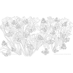 Edible Paradise: A Coloring Book of Seasonal Fruits and Vegetables