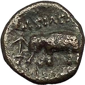Amazon.com: Antiochos III the Great 223BC RARE R1 Seleukid 