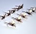 Outdoor Planet 12 Pieces Top Rating Dry/Nymph/Streamer Fly Fishing Flies Trout Fly Assortment