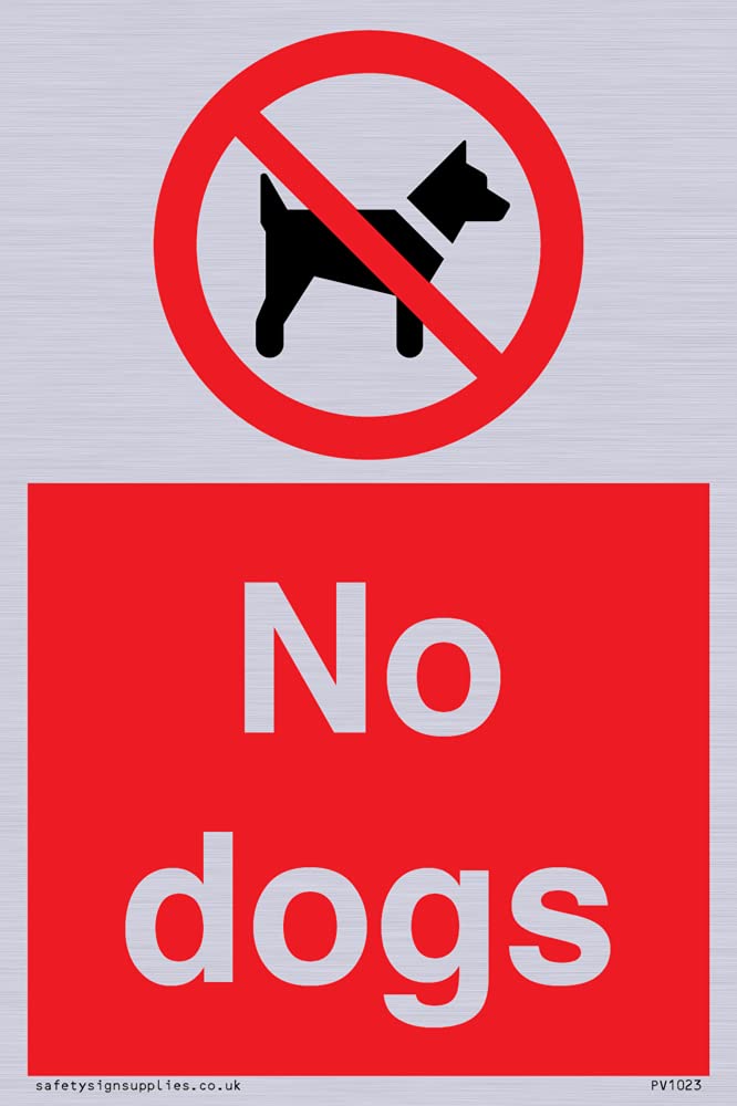 No dogs