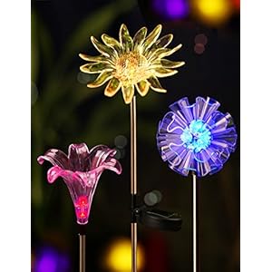 Colorful solar LED lights