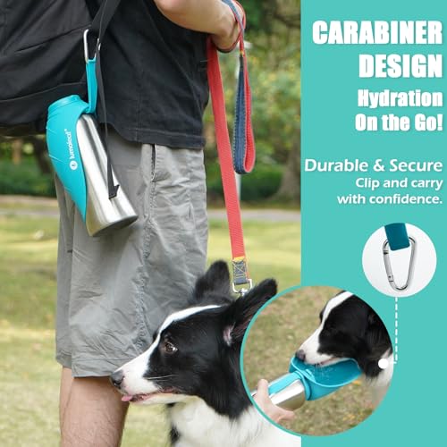 LumoLeaf Portable Dog Water Bottle 800 ml, Stainless Steel Pet Travel Water Bottle Dispenser for Walking, Hiking and Outdoor, Portable Water Bowl for Large Dogs (Blue)