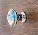 Tropical, Ocean, Fish, Nautical Glass Knobs, Drawer Pulls - 12 Pack