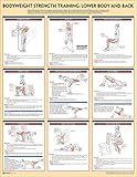Bodyweight Strength Training Poster: Lower Body and Back by 