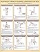 Bodyweight Strength Training Poster: Lower Body and Back by 