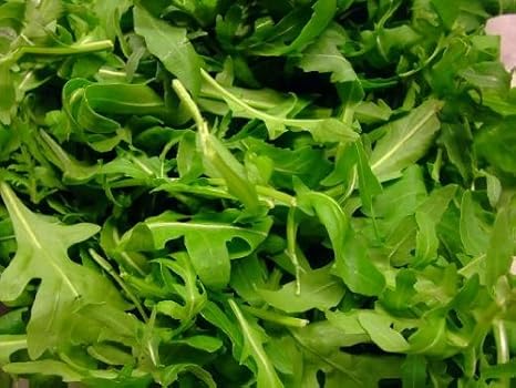 Amazon イタリア産 ルッコラ ルーコラ セルバチコ セルバティカ 250ｇ 味 香りが違います ヴェルジュ Verjus ルッコラ 通販