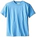 Russell Big Boys' Youth NuBlend T-Shirt, Columbia Blue, Large