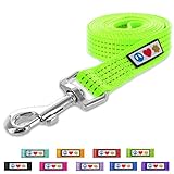 Pawtitas 6-ft Reflective Dog Leash Medium/Large Green 1 Inch