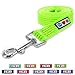 Pawtitas 6-ft Reflective Dog Leash Medium/Large Green 1 Inch