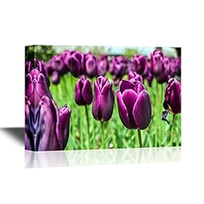 Canvas Wall Art - Purple Tulips - Gallery Wrap Modern Home Art | Ready to Hang - 12x18 inches