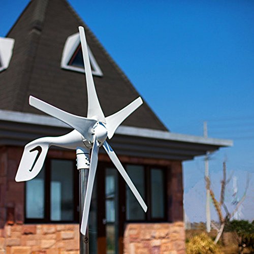 Top 10 Best Windmills For Power - Top Reviews | No Place Called Home