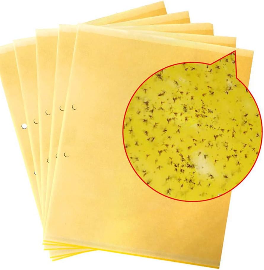 trappola per minatori a foglie