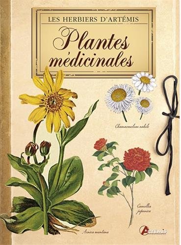 Plantes médicinales