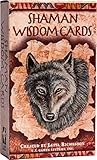 Shaman Wisdom Cards -- Tarot Cards: 65-Card Deck by 