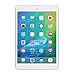 Apple iPad Mini 2 with Retina Display(32GB,WiFi Silver) (Renewed)