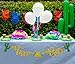 Taco Bar Gold Glitter Banner Sign Garland Pre-strung for Cinco De Mayo Mexican Fiesta Themed Party Taco Bar Decor