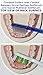 Sound Feelings Toothbrush - Basic, MEDIUM, 4-Pack, Adult