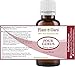 Four Gurus Synergy Blend Essential Oil 30 ml (1 oz) - 100% Pure Therapeutic Grade Compare to Thieves & On Guard, Blended With Clove Cinnamon Lemon Rosemary Eucalyptus