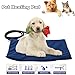 Pet Heating Pad Electric Heating Blanket for Cats and Dogs -Lumcrissy LED indicating Waterproof Adjustable Warming Mat Bed Blanket with Chew Resistant Steel Cord (11.8 X 15.7 IN, Blue)