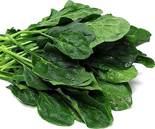 Butterflay Spinach Seeds - Non GMO Organic Variety