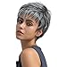 Befunny Synthetic Hair Wigs Short Grey Synthetic Full Wig for Women Fashion Style Hair Wig with Elastic Net Breathable Medium Size
