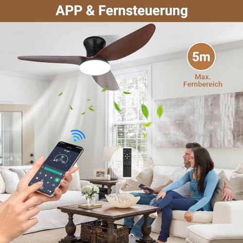 Ceiling Fan with Lighting, Ø100cm App Control & Remote Control, Ceiling Light with Fan, 6 Speed, 3 Variable Colors, Silent DC Motor, Summer-Winter Operation, Timer