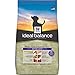 Hill'S Ideal Balance Senior Natural Dog Food, Mature Adult 7+ Natural Chicken & Brown Rice Recipe Dry Dog Food, 15 Lb Bag
