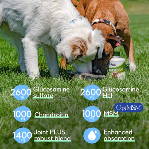 LIQUIDHEALTH 32 Oz K9 Liquid Glucosamine for Dogs Level 5000 with Glucosamine Chondroitin, Dogs