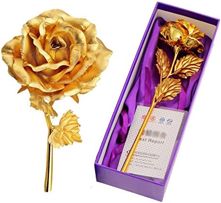 TRINKA 24k 10 Inch Gold Foil Rose, Presents for Birthday, Gift for Girlfriend, Anniversary, Christmas, Wedding, Mother's Day + Gift Box (Gold)
