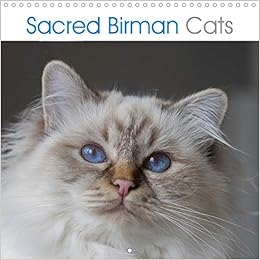Sacred Birman Cats Blue Eyes White Paws The Birman Cats Calendar Calvendo Animals Grapheum De Amazon Com Books