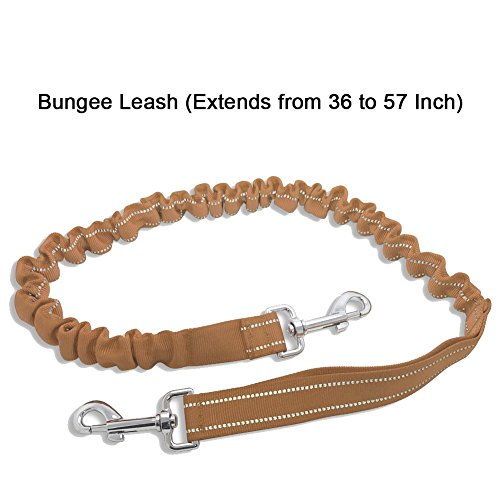 image for Neeyer Hands Free Dog Leash, Running Dog Leash with Bungee, Reflective