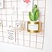 ZONYEO Straight Shelf Rack for Grid Wall Grid Panel Wall Mountable Wire Gold Wall Organizer Display Décor