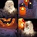 Halloween Super Stretch Spider Web (800 Square Feet) Spider Webbing Spooky Cobwebs with 120 Fake Spiders Halloween Haunted House Indoor & Outdoor Decorations