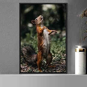 signwin Framed Canvas Wall Art Squirrel Animals Fun...