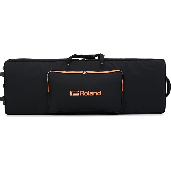 Amazon.com: Roland Piano or Keyboard Case (CB-B88V2),Black 