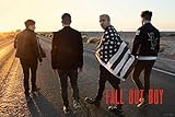 Fall Out Boy- Desert Walk Poster 36 x 24in