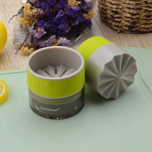 LONGLISHENG Garlic Press Garlic Crusher Chopper for Home Chef, Easy to Clean