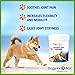 Glucosamine for Dogs – Powder – Advanced Hip & Joint Supplements – Chondroitin & MSM – Eases Your Dog’s Joint Pain and Repairs Damaged Cartilage – All Natural – Made in the USA