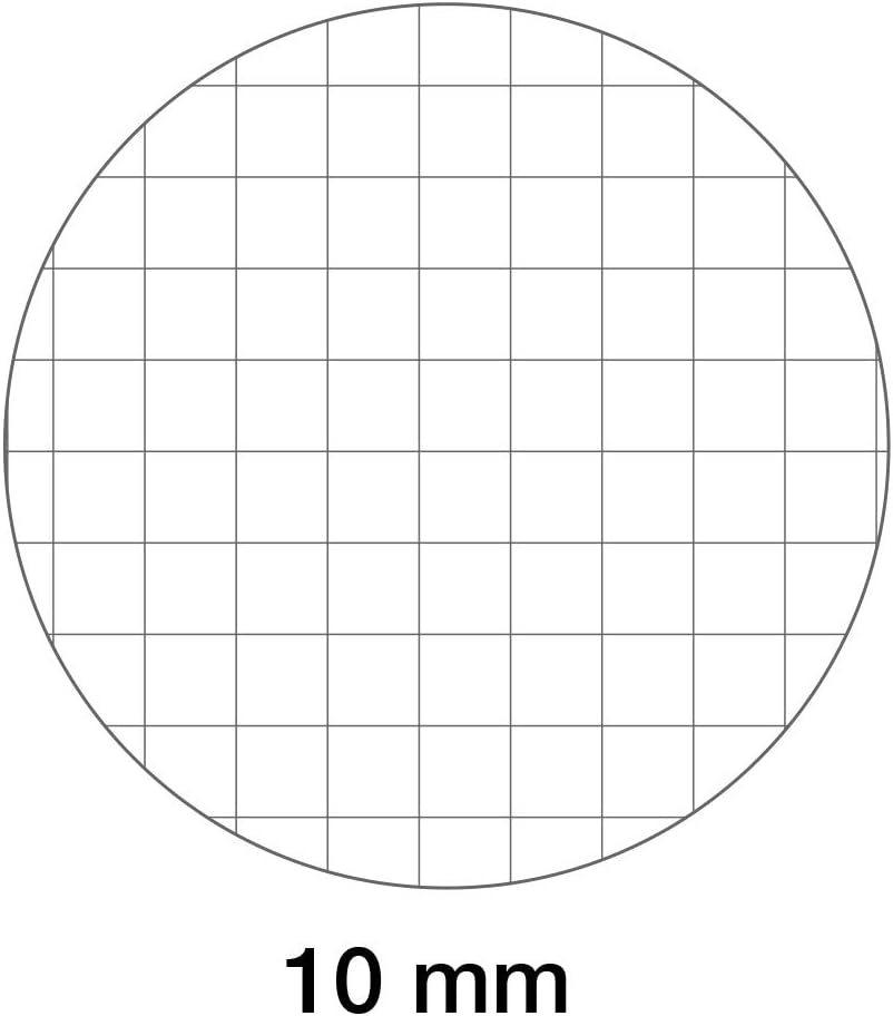 BM BeMore Cardboard Color 0112278, Maxi Notebook Cardboard A4, Ruled 10 mm, Squares 1 cm for 1st Elementary - Image 5