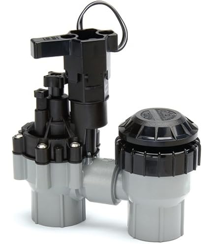 Rain Bird PSIM30x075 Regolatore Di Pressione Irrigazione 3/4" 30 Psi - Sottosuolo - 3