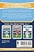 Sterling: From the Playground to the Pitch (Ultimate Football Heroes)